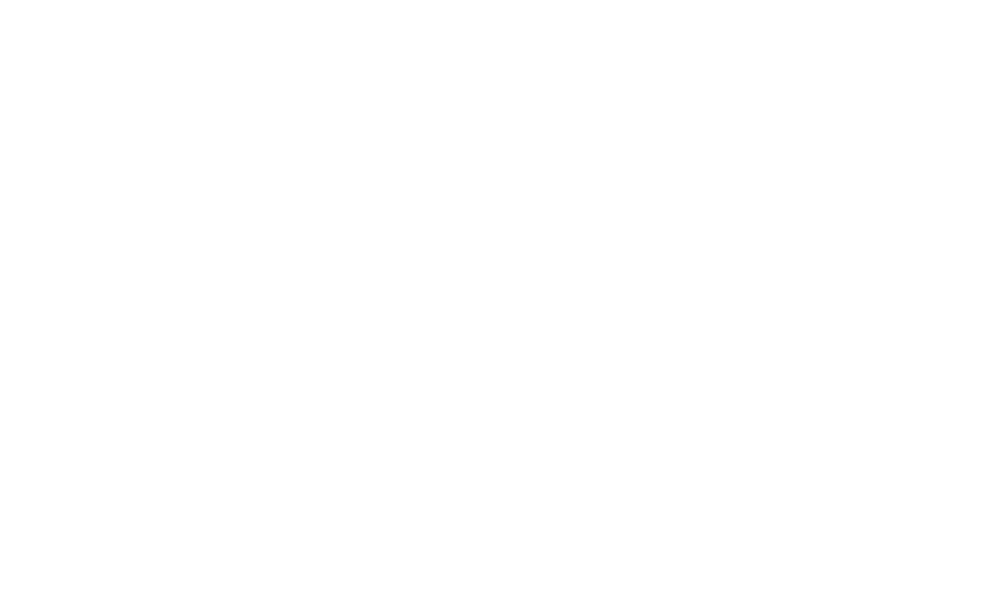 Siegel „Software Made in Germany“